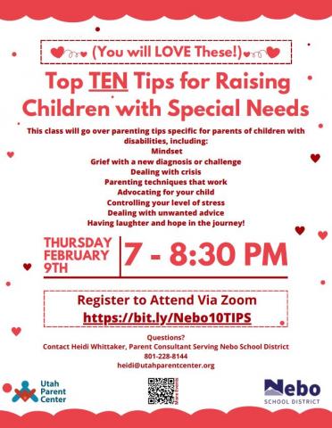 Top Ten Tips for Raising Child with Special Needs Zoom Meeting
