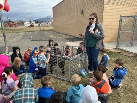 The kindergarten classes had special visitors today. Lisa Baxter, and her lambs, Oreo and Hazelnut got to come to kindergarten. The students learned a little about lambs and about how these lambs are bottle fed.  We appreciate Mrs. Baxter for bringing the lambs to school for us!