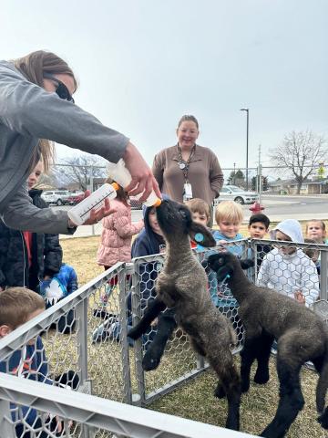 The kindergarten classes had special visitors today. Lisa Baxter, and her lambs, Oreo and Hazelnut got to come to kindergarten. The students learned a little about lambs and about how these lambs are bottle fed.  We appreciate Mrs. Baxter for bringing the lambs to school for us!
