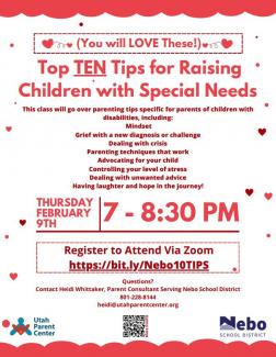 Top Ten Tips for Raising Child with Special Needs Zoom Meeting